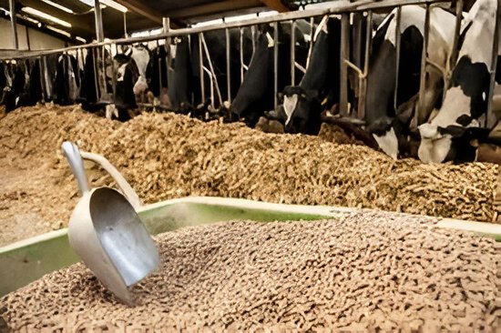 cattle-feed