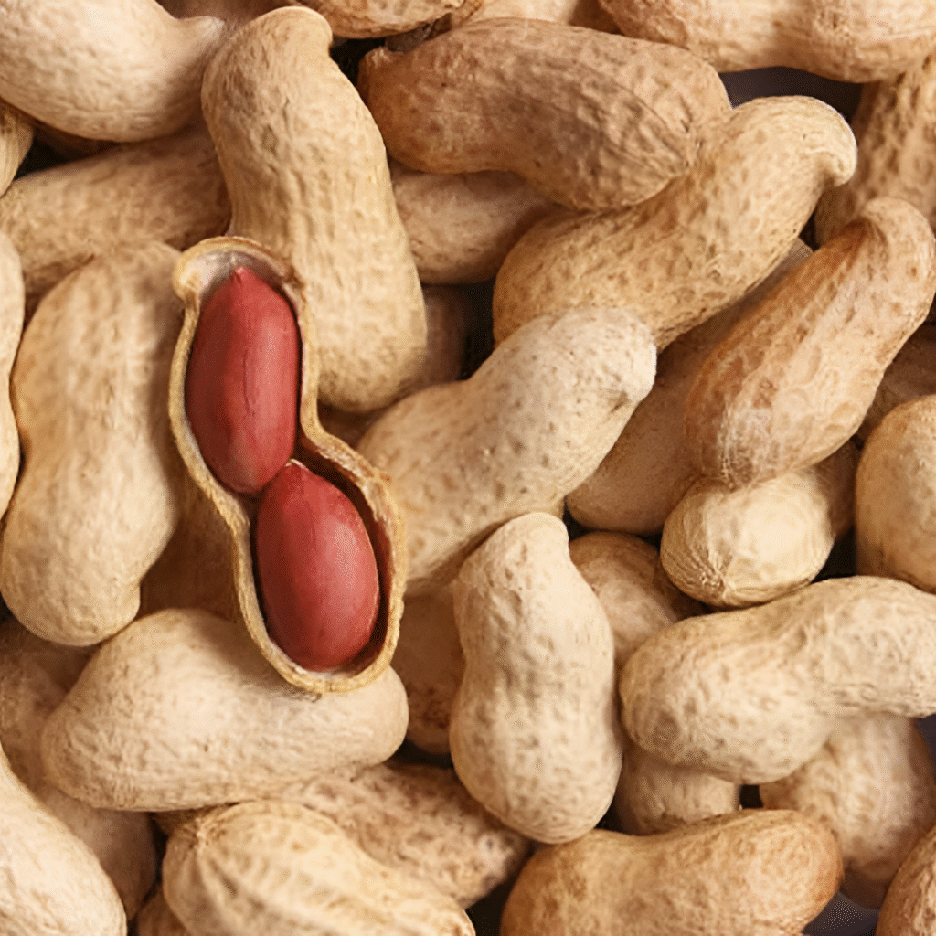 groundnuts