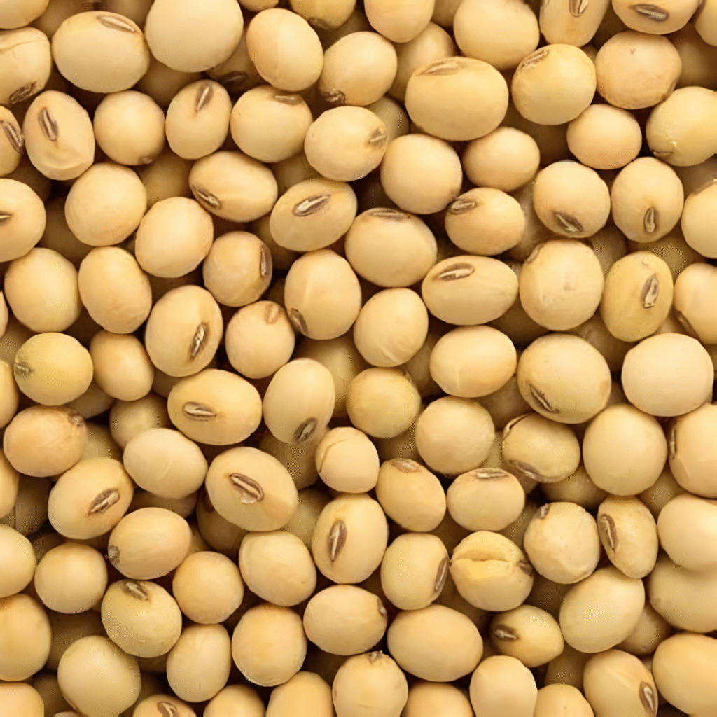 soya beans